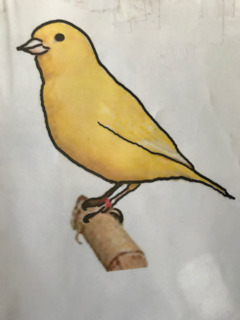 bird1